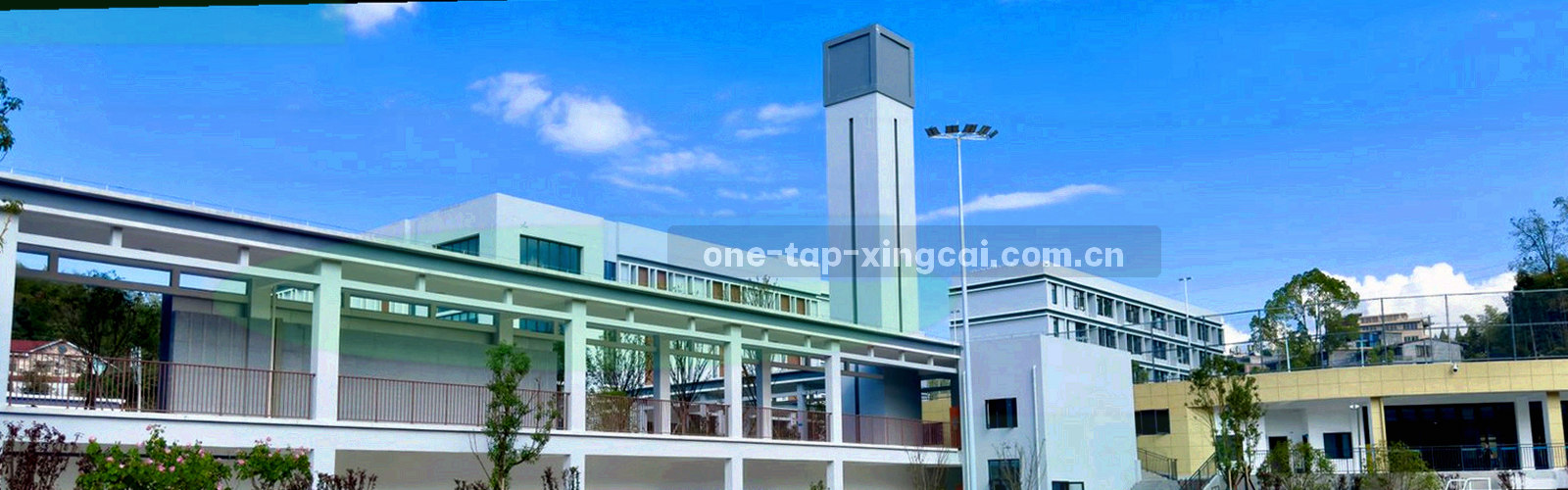由圆角矩形与连续曲线构成的抽象数据背景，荧光青与陶土色交织，无文字